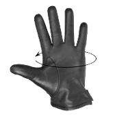 glove